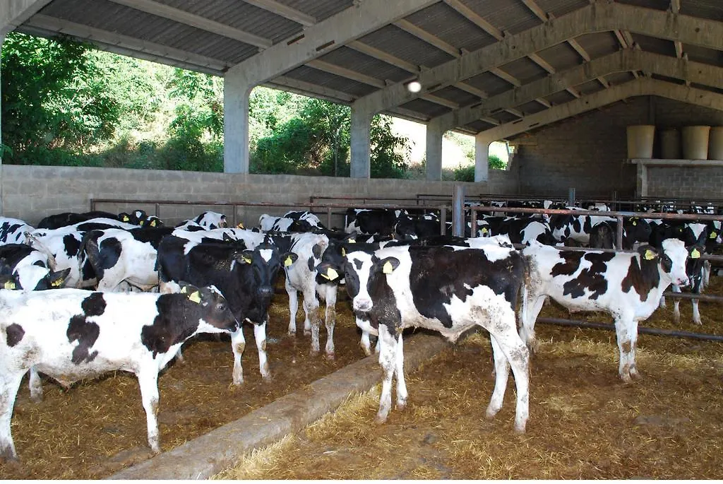 Cal Servero Peramola Farm stay